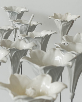 Olaf Stoy · 100 Blüten