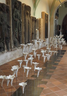 Olaf Stoy · 100 Blüten