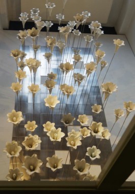 Olaf Stoy · 100 Blüten