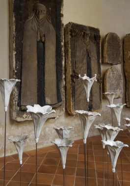 Olaf Stoy · 100 Blüten 